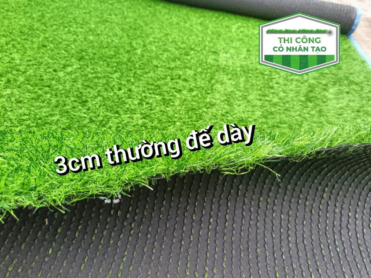 z4640040628222_073d035ca2e83cb76d7c0015ee226761