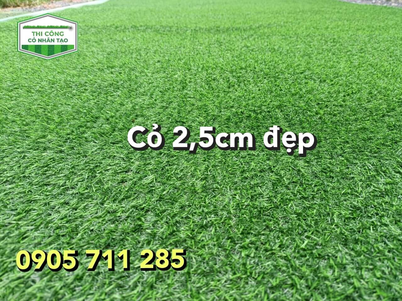 z4664450339703_144b397cca16e02f7fb9de436246fdcd